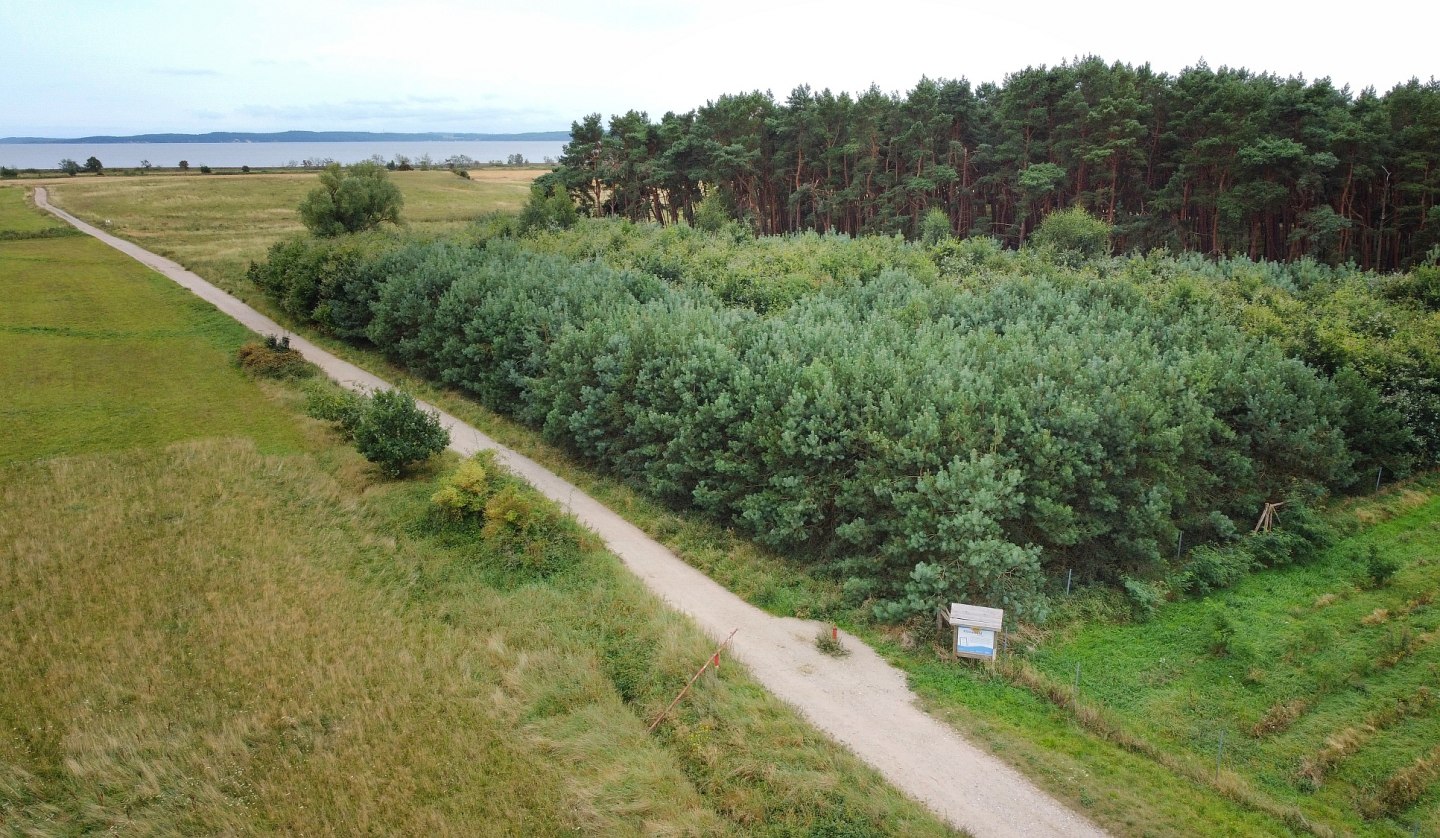 Klimawald Glowe Luftbild, © Landesforst MV