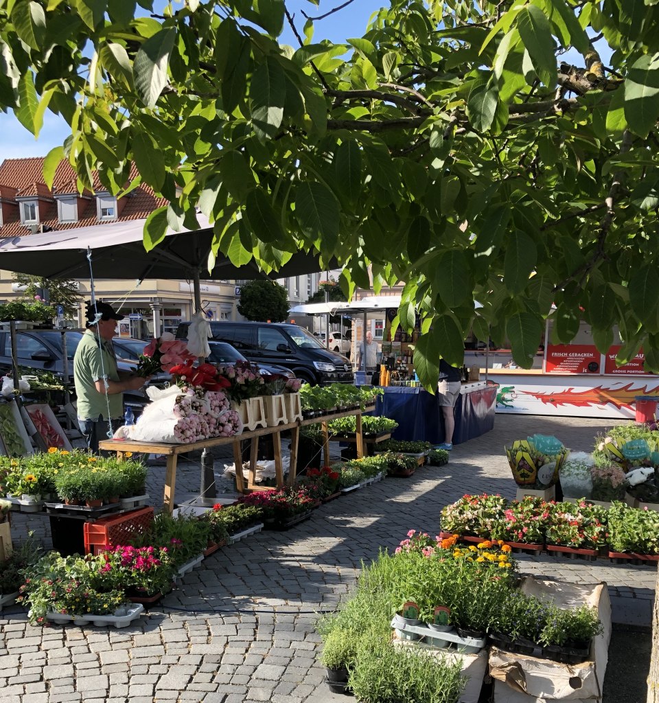 Wochenmarkt-Ribnitz, © Stadt Ribnitz-Damgarten