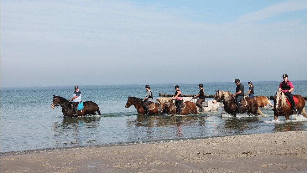 Ausritt an Bodden und Ostseeküste, © Reit- und Feriencamp Illner