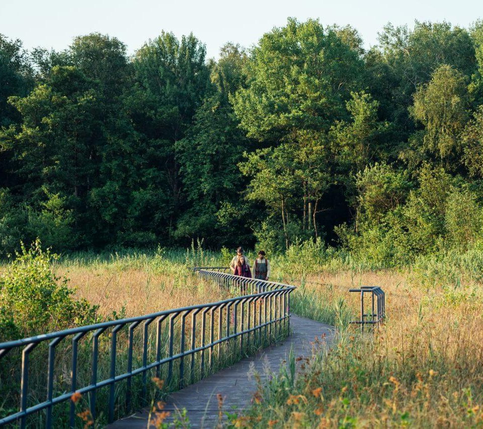 Auf über 800 km durch sieben Naturparke und einen Nationalpark führt der Naturparkweg durch Mecklenburg-Vorpommern., © TMV/Gänsicke