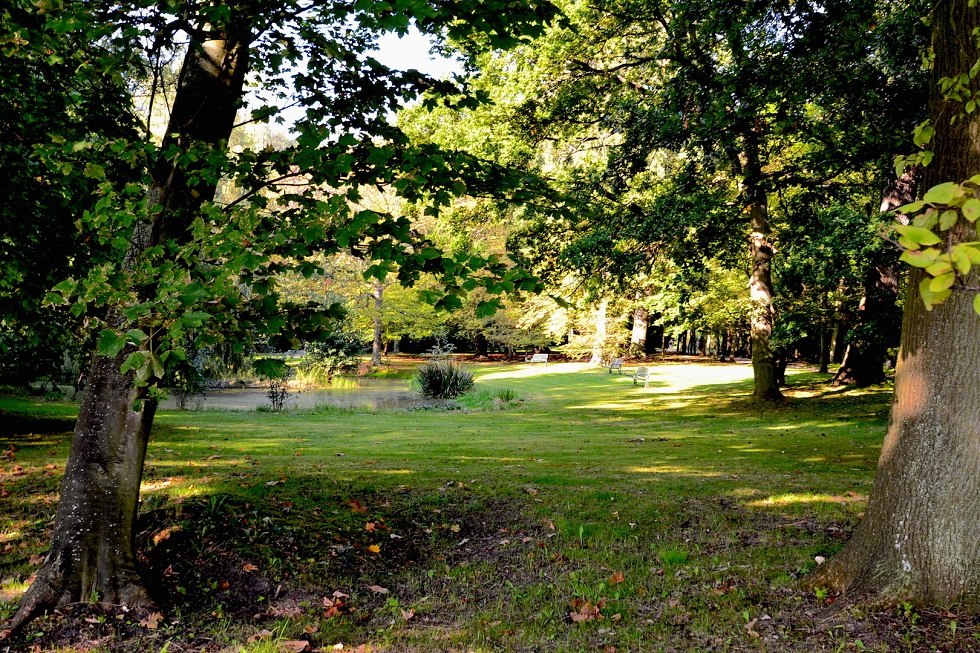 Kurpark Juliusruh, © Tourismuszentrale Rügen