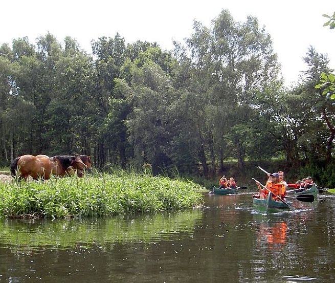 Naturidylle auf der Alten Elde, © Lewitzcamp Garwitz