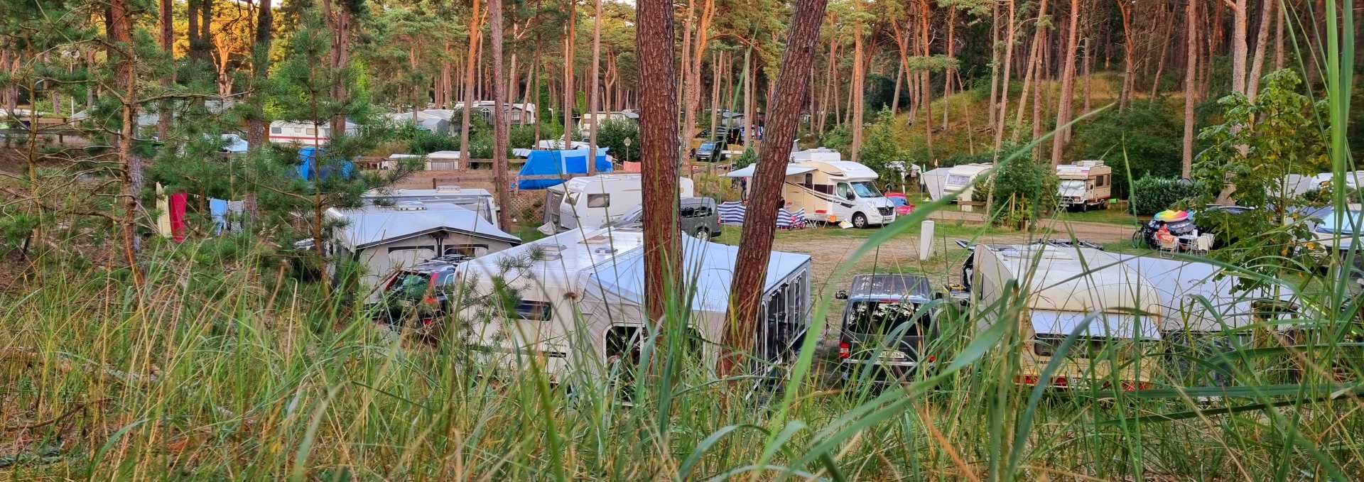 Blick auf den Campingplatz., © KV Trassenheide