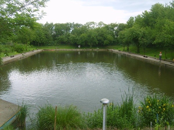 Wöchentlich neuer Fischbesatz, © Angelteich Gnoien