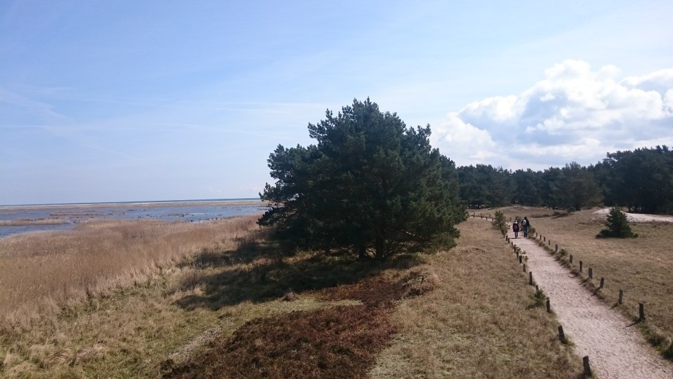 Blick auf den Libbertsee und Rundwanderweg Darßer Ort, © UB