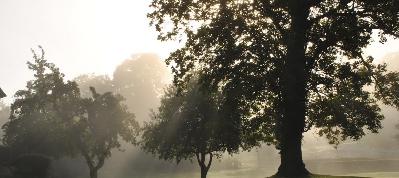 Herbst in Gremmelin, © Gut Gremmelin GMBH