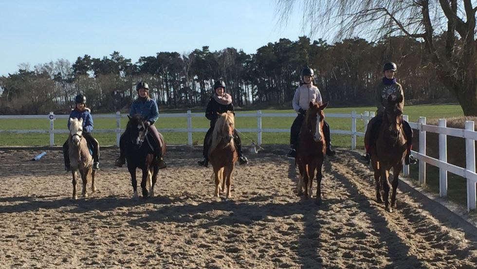 Der Reitplatz bei Bauer Harmann eignet sich für Einzelstunden als auch für Gruppenunterricht., © Bauer Hartmann/ Frauke Beier