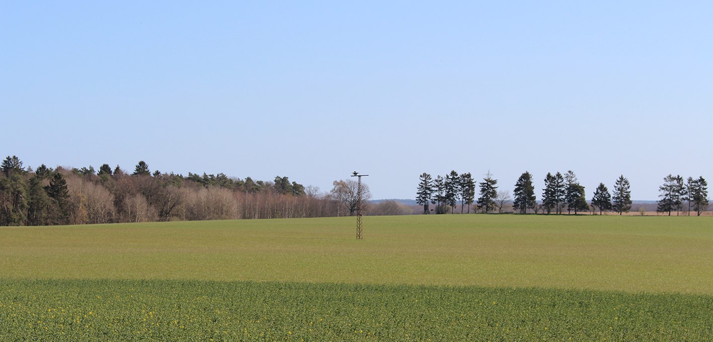 Sicht auf den bewohnten Horst, © Kur- und Tourismus GmbH Göhren-Lebbin