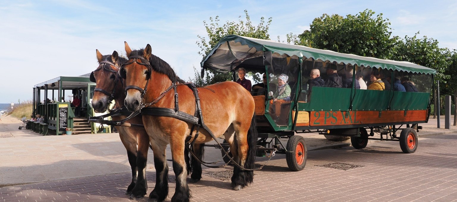 Planwagen-/ Kremser- und Kutschfahrt