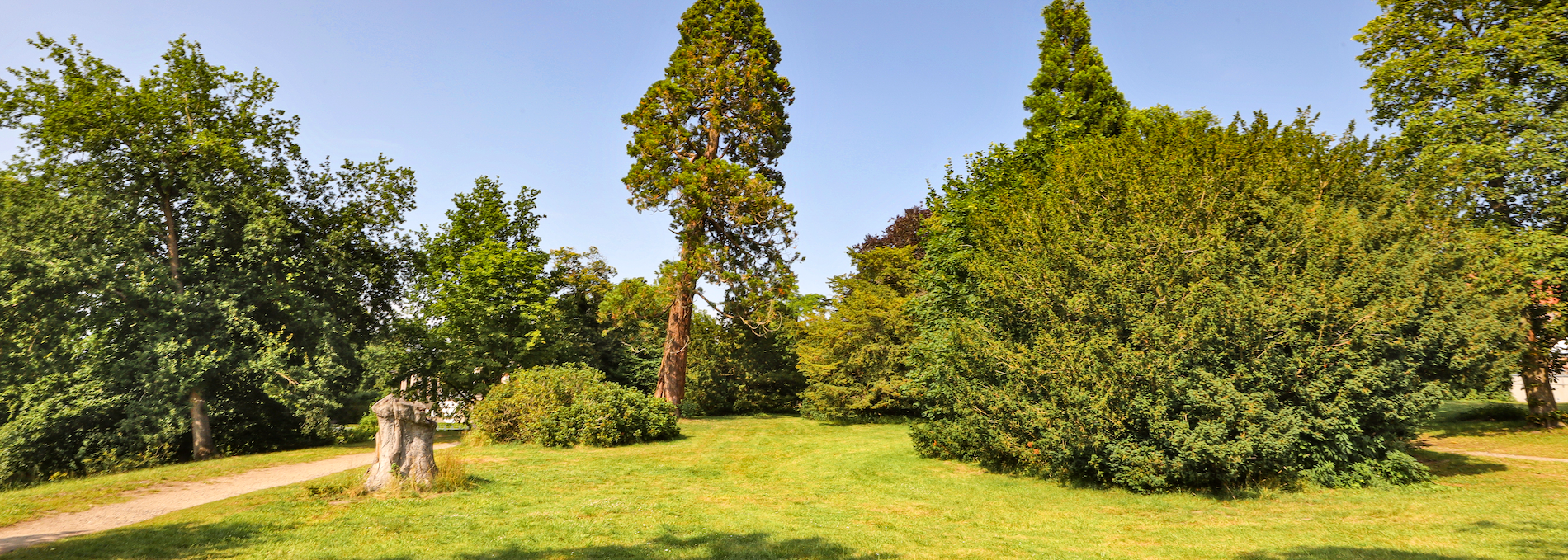 schlosspark-zu-putbus_2, © TMV/Gohlke