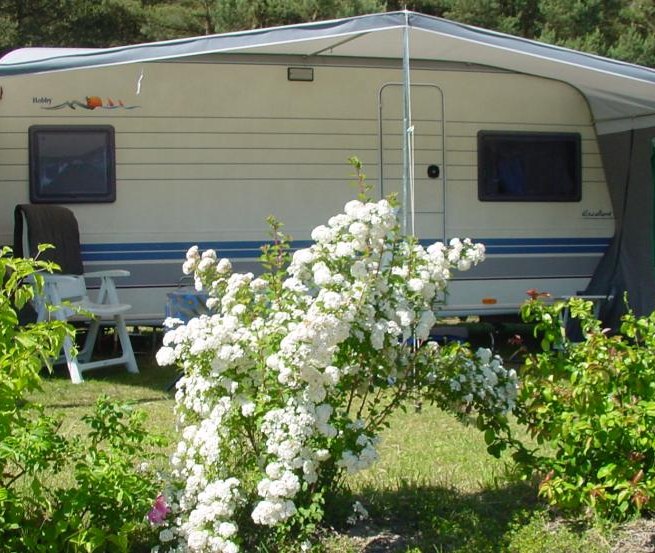 Komfortstellplatz mit Strom- und Wasseranschluss, © Natur Camping Usedom