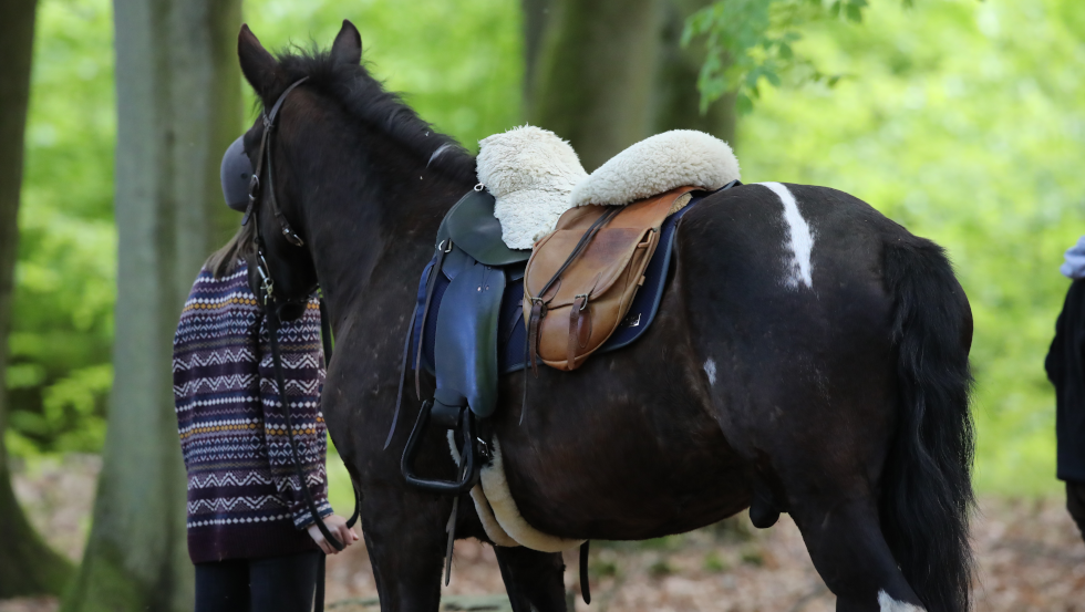 Kurz mal raus aus dem Sattel und die Natur genießen ist beim Wanderreiten in Mecklenburg-Vorpommern sehr zu empfehlen., © TMV/Pantel