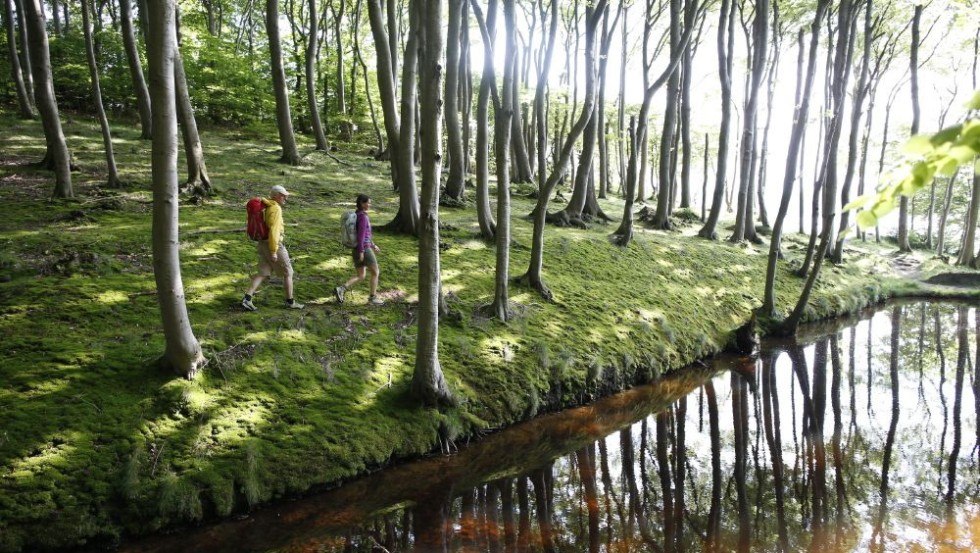 Wanderung durch den Küstenwald bei Lietzow, © TMV/outdoor-visions.com