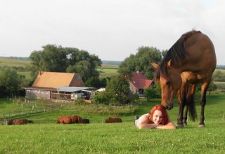 Auf dem Hof Silberweide dem Alltag entfliehen, © Hof Silberweide/ Alrun Romanus