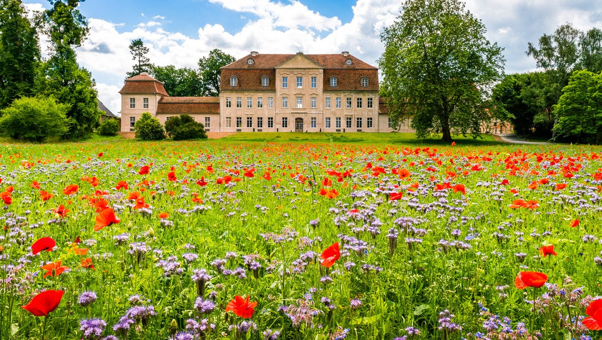 Schloss Kummerow - die Nordfassade, © Alexander Rudolph