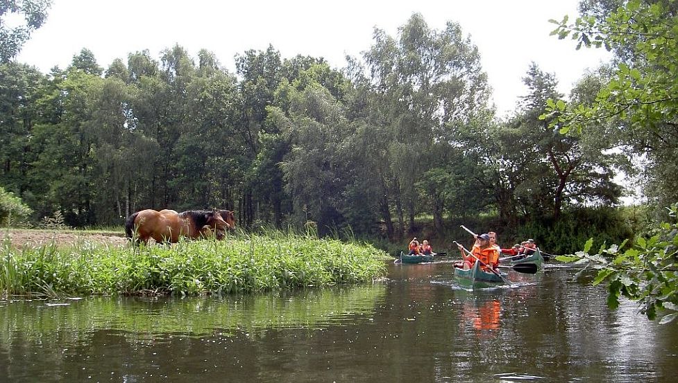 Naturidylle auf der Alten Elde, © Lewitzcamp Garwitz