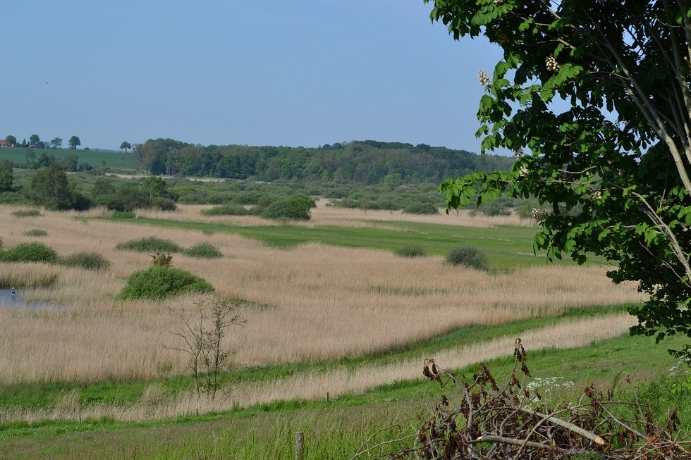 Blick in das Recknitztal, © Lutz Werner