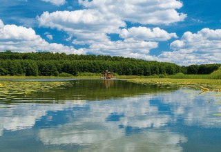 Mit dem Floß auf der Havel schippern, © TMV/Pescht