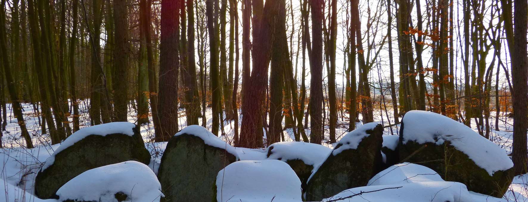 Winterromantik am Megalithgrab "Krampas" mit schneebedeckten Tragsteinen, © Archäo Tour Rügen