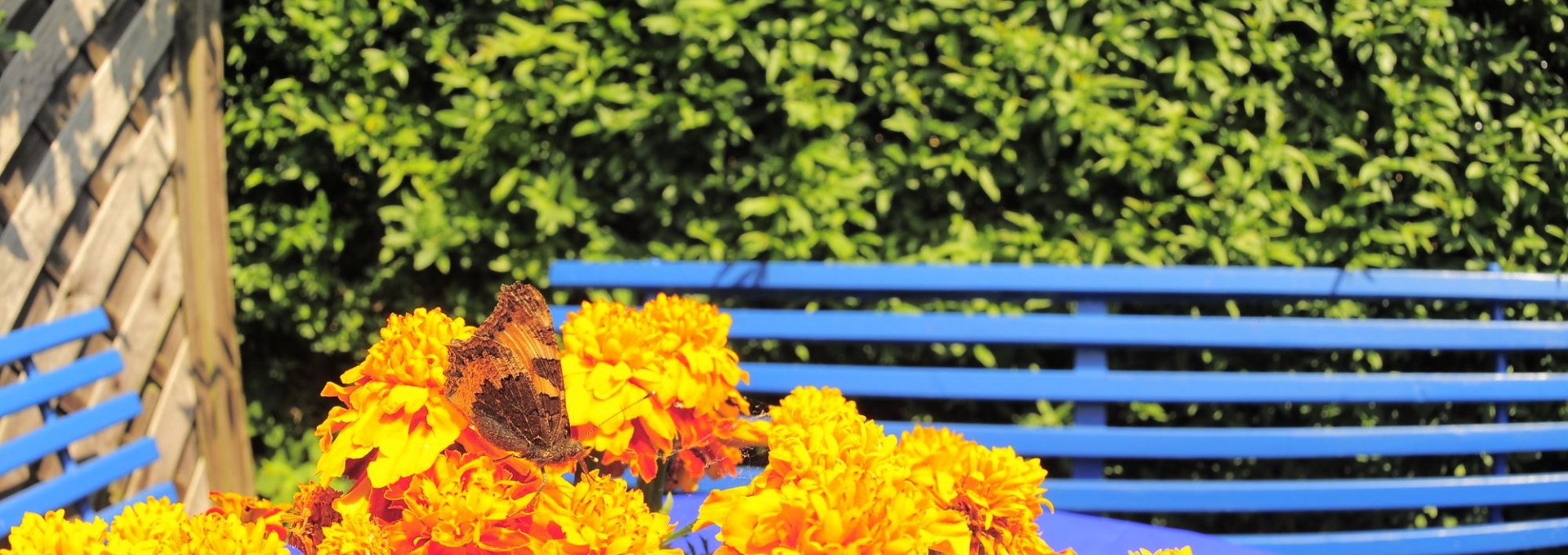 Sitzecke im Garten vor dem Ferienzimmer, © Kleines Fischerhaus