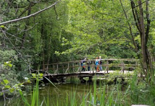 © K. Titho, Biosphärenreservatsamt Schaalsee-Elbe