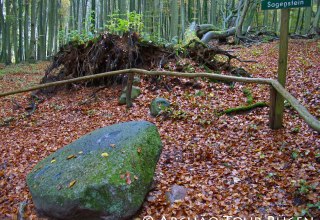 versteckt in Laubwald liegt der sagenumwobene Stein, © Archäo Tour Rügen