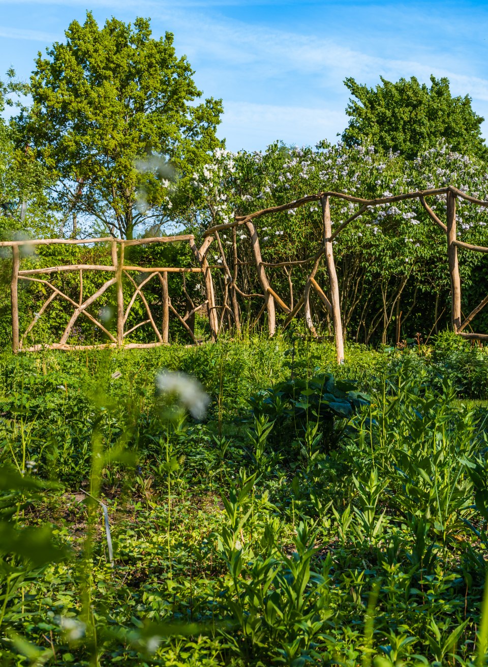 Wer aufmerksam ist, kann im Wangeliner Garten ganz schön viel entdecken: Kunstinstallationen, heimische Blütenpflanzen und Insektenhotels zum Beispiel., © TMV/Tiemann