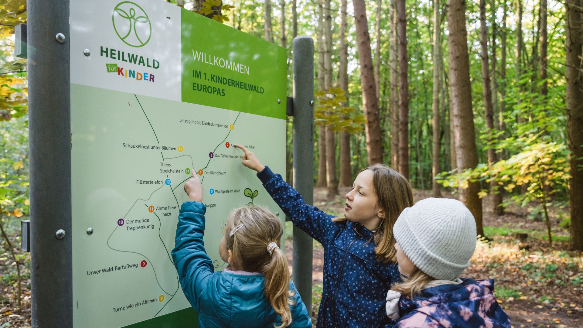 Drei Kinder stehen vor einer großen Übersichtskarte im Wald, zeigen mit ihren Fingern auf verschiedene Punkte und planen ihre Route.