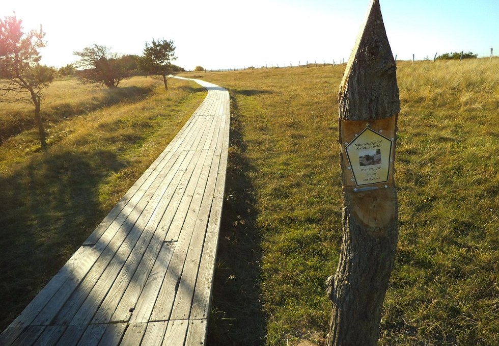 Naturschutzgebiet Nordwestufer Wittow und Kreptitzer Heide, © Tourismuszentrale Rügen