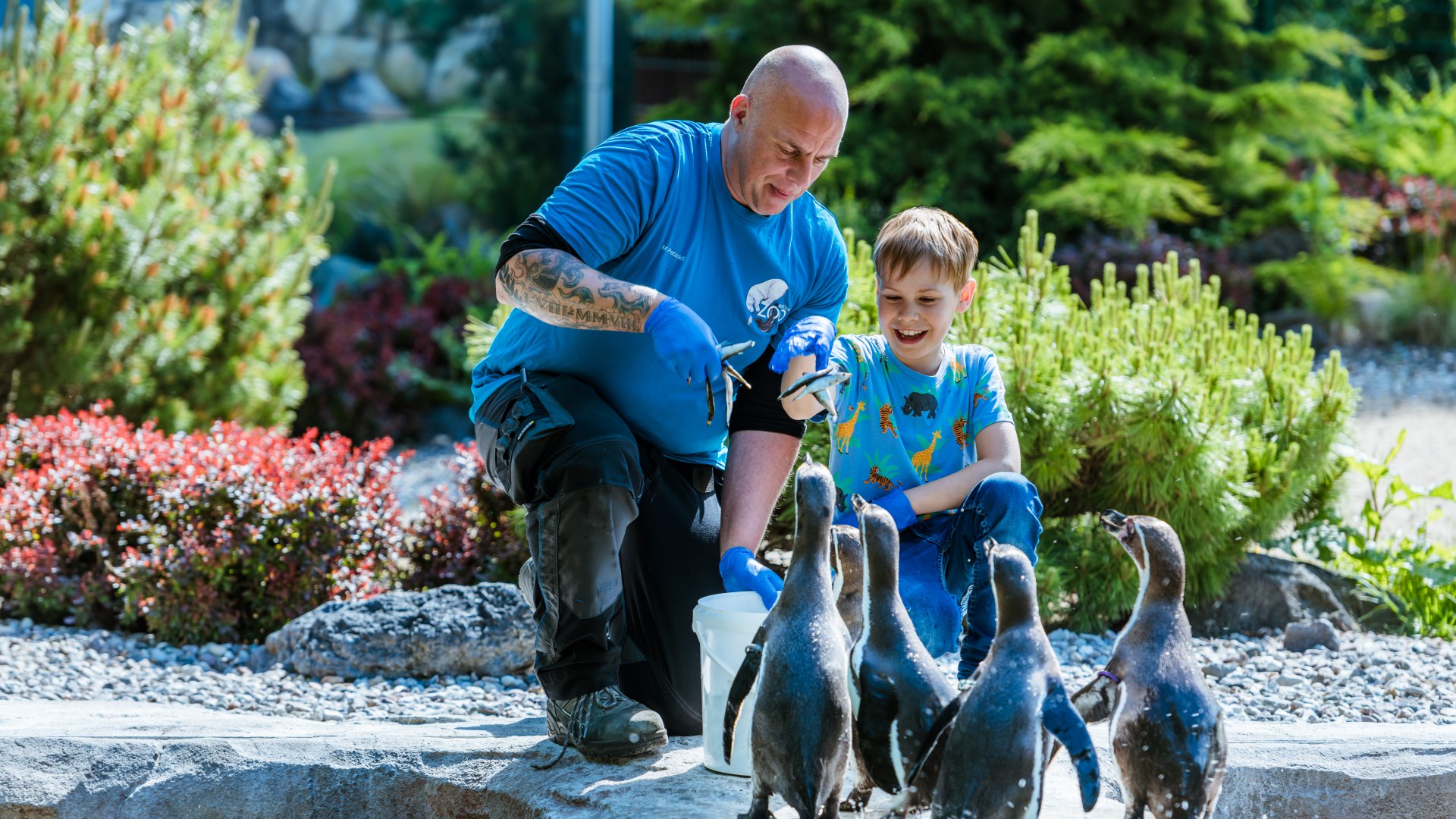 Zum Abschluss darf Erik mit Tierpfleger Matthias Petzold noch die Humboldtpinguine füttern., © TMV/Tiemann