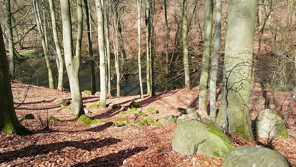 Gesteine verschiedenster Größen finden sich im Warnow-Durchbruchstal, © TMV