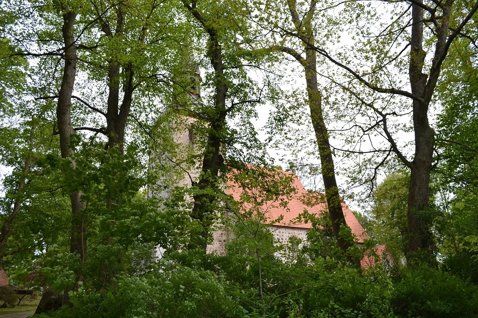 Blick durch die Parkanlage auf die Kirche., © Lutz Werner