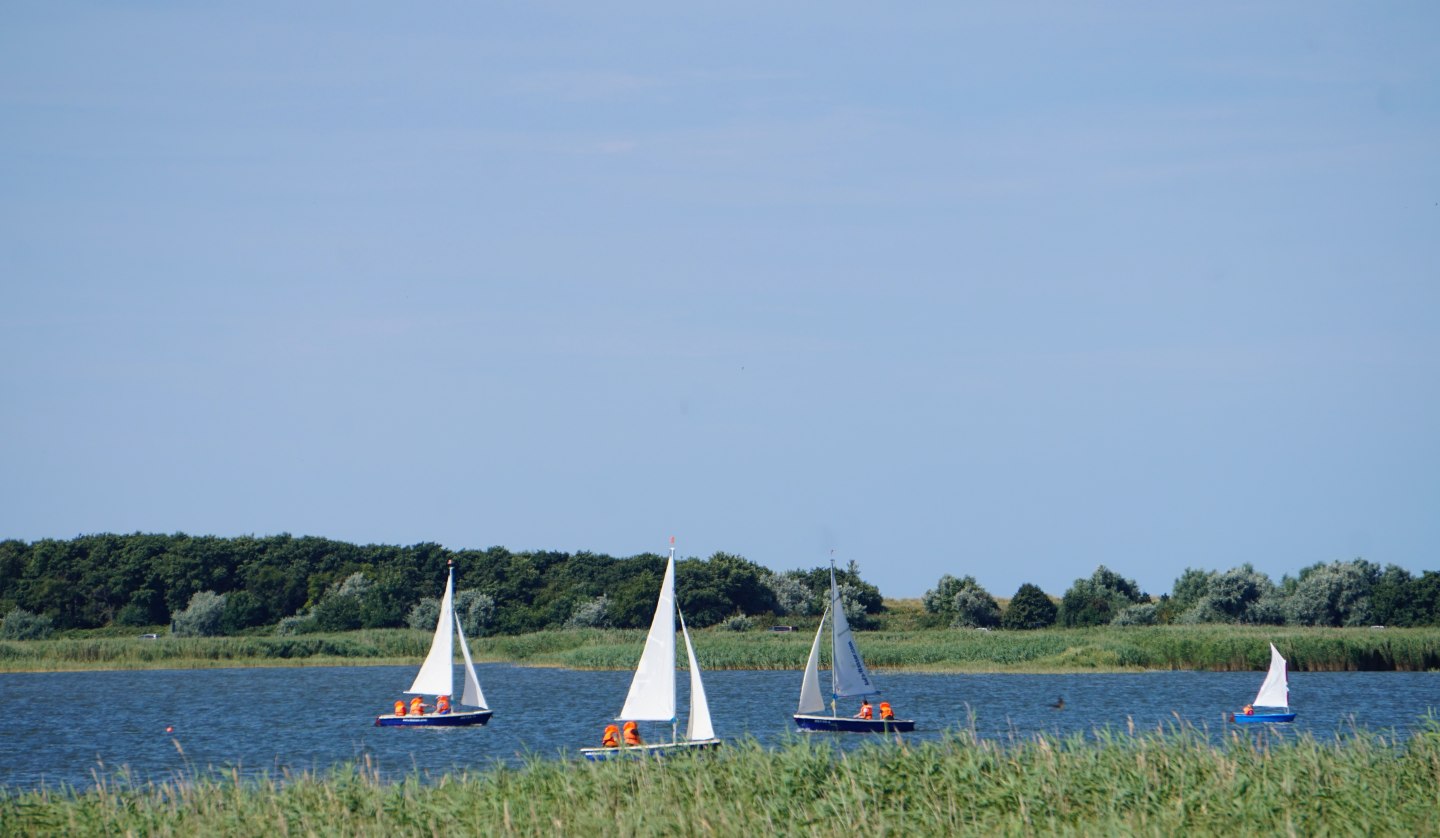 Fischländer Segelschule, © Cindy Wohlrab / KVW Wustrow