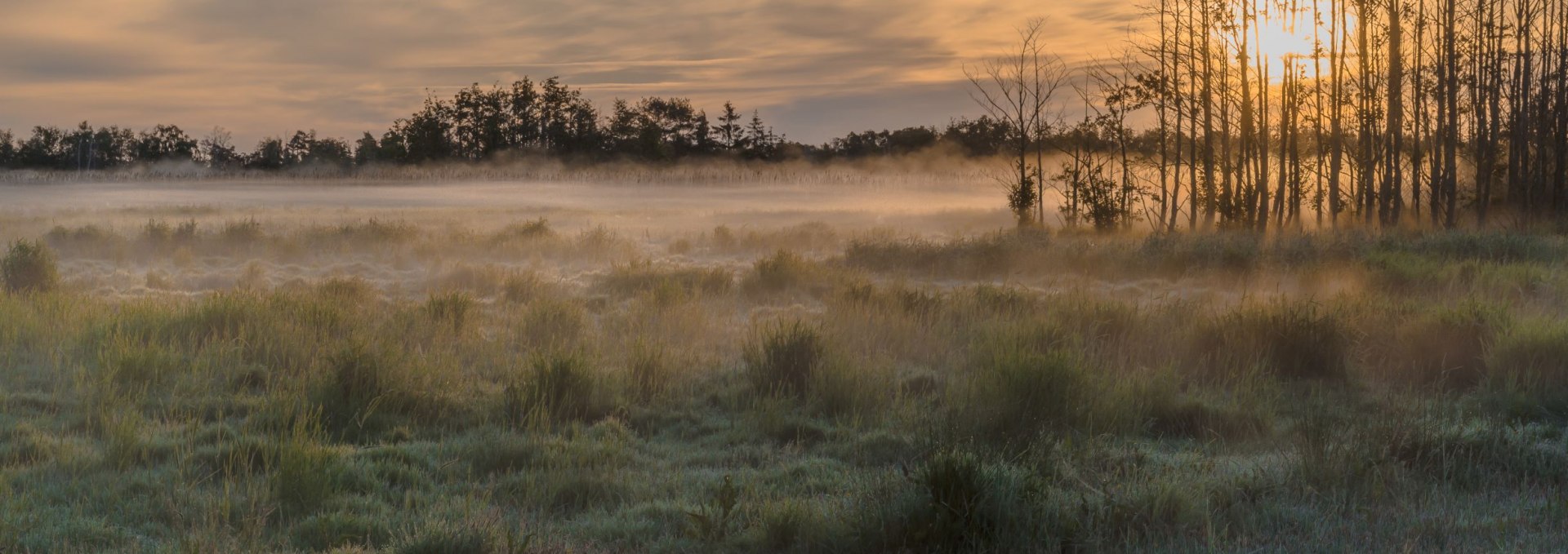 nationalpark, © Klaus-Herbert Schröter