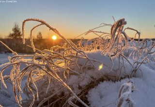 Paul Blei vom Förderverein wird mit Ihnen Spuren im Schnee (sofern vorhanden) suchen, Knospen und Zweige im Winterzustand bestimmen und die Überwinterungsstrategien der Insekten erläutern. Wer also Lust hat, seinen Kreislauf nach dem Winter wieder in Schwung zu bringen und frische Luft zu atmen, ist herzlichst bei dieser Wanderung rund um Burg Schlitz eingeladen., © Marin-Ziegler