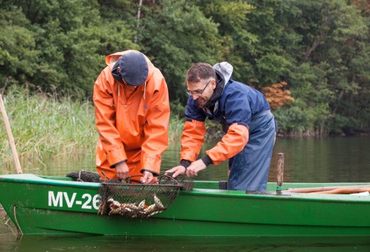 Die besten Chancen auf einen guten Fang hat man wie hier auf dem Wrechener See., © TMV/Läufer