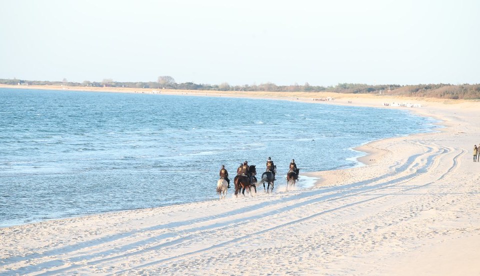Bei diesem Anblick schlagen Reiterherzen schneller. Träume werden wahr beim Strandreiten in Mecklenburg-Vorpommern., © TMV/Pantel