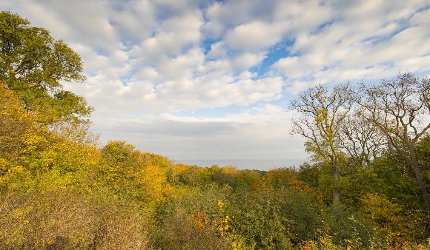 Gemuetlicher Herbstspaziergang (c) Kuverwaltung Goehren  Martin Stoever 2016 _P5I5205, © Kurverwaltung Goehren / Martin Stoever