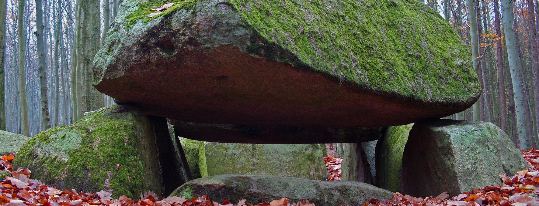 Das Großsteingrab an der Waldhalle Sassnitz, © Archäo Tour Rügen