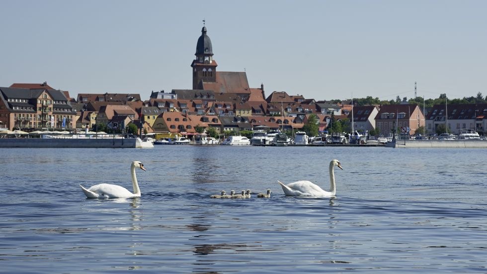 Heimat für Wassersportler und Wasservögel, © Kristina Steiner