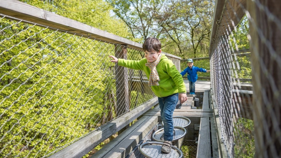 Verschiedene Stationen zum Balancieren und Ausprobieren bieten Abwechslung auf dem Holzpfad., © Erlebnis Akademie AG / Naturerbe Zentrum Rügen