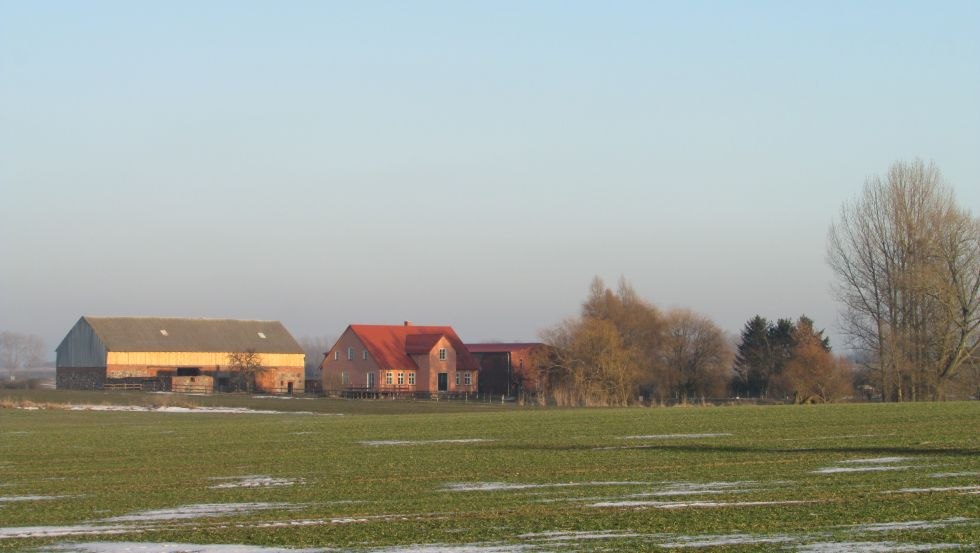 Der Gänsehof liegt am östlichen Rand des Dorfes Ladenthin. Die beiden großen Back- und Feldsteinscheunen sind unübersehbar., © Grüner Gänsehof