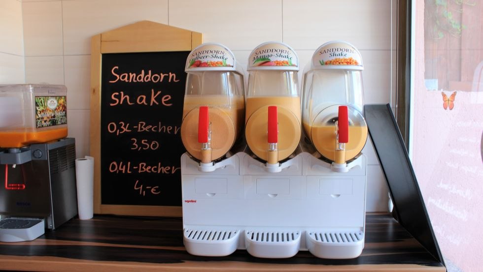 Wie wärs mit einem Sanddorn-Shake?, © VMO