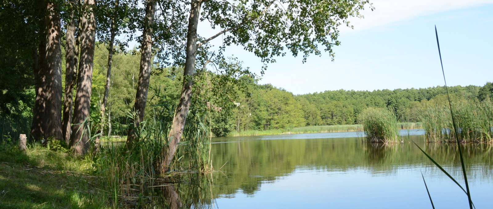 Karpfenteiche bei Voigtsdorf, © Tourismusverband Mecklenburg-Schwerin