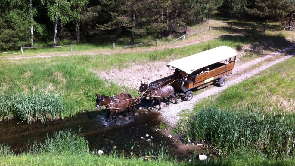 Spannend kann sie sein, die Fahrt. gehen die Tiere durch´s Wasser?, © Reit- und Fahrtourstik Lychen