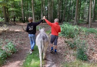 Ein Spaziergang im gemütlichen Esel- Tempo kann ein tolles Erlebnis für die ganze Familie sein. Esel sind besonnene und feinfühlige Tiere, die gerne mit menschlicher Begleitung auf Wanderschaft gehen., © Andrea Hauser