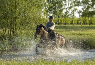 Auf ihrem Tagesritt durchreitet die Reiterin einen Teich entlang des Weges, © TMV/ Hafemann