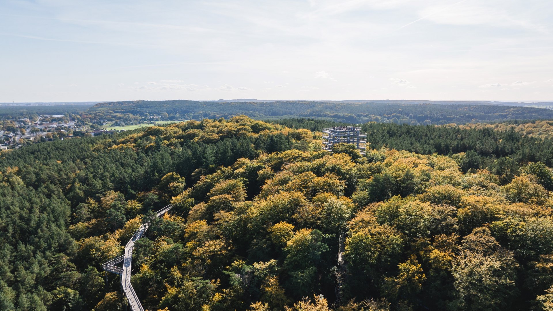 Luftaufnahme eines Baumwipfelpfads, der sich durch einen dichten Wald schlängelt, mit einem Aussichtsturm im Hintergrund.