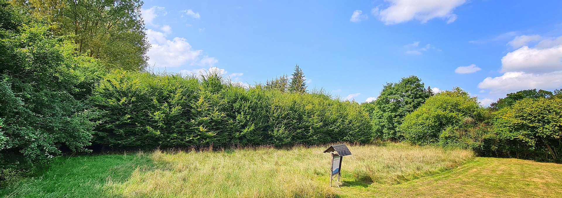 Klimawald Schuenhagen, © Landesforst MV