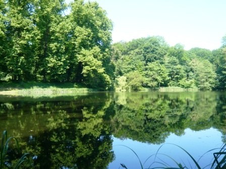 Blick auf den See von der Seeterrasse, © A. Brands